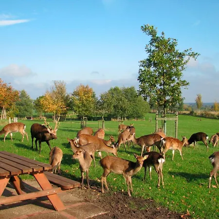 Wittensee-blick Appartement