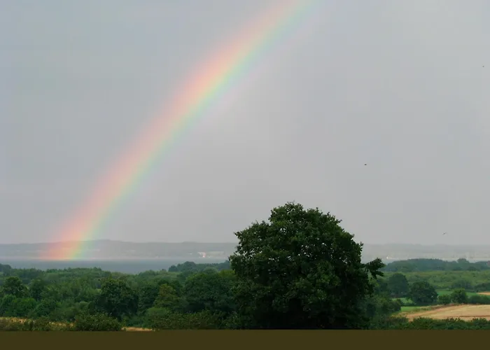 Wittensee-blick Appartement *
